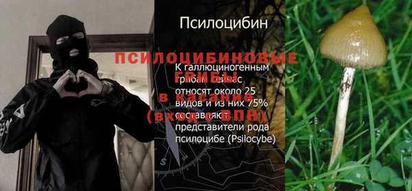 марихуана Баксан