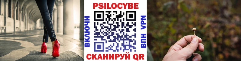 Псилоцибиновые грибы Psilocybine cubensis  Нарткала 